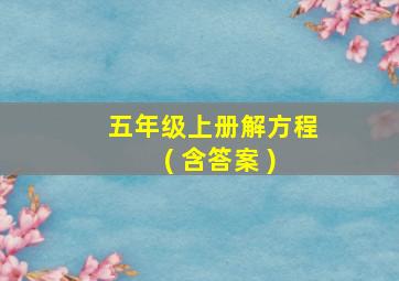 五年级上册解方程 ( 含答案 )